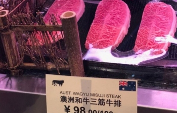 Kêu gọi điều tra Covid-19, Australia hứng đòn trả đũa từ Trung Quốc?