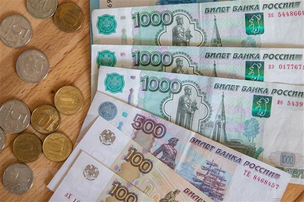 Chi phi sinh hoat o Nga se tang khoang 10% ke tu ngay 1/6 hinh anh 1