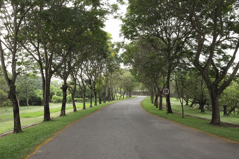 vedan viet nam mai nha gan ket nguoi lao dong