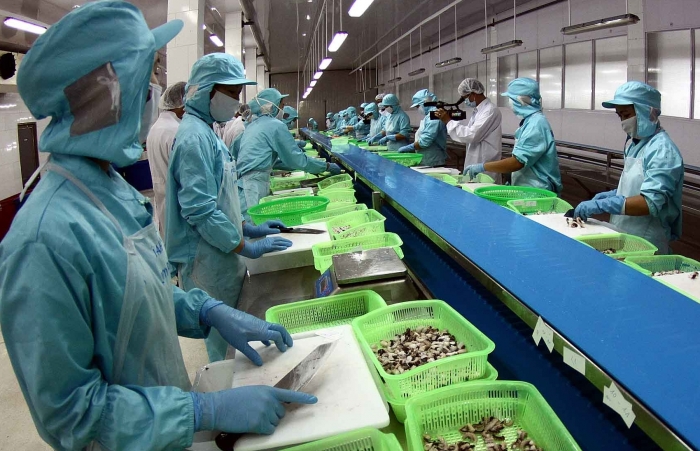3 nhóm giải pháp gỡ khó cho doanh nghiệp thuỷ sản